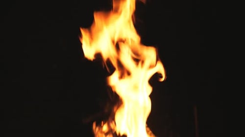 Bright Flames Rises From Burning Slices Wood and Charcoal in Mangal at Night