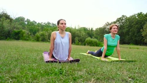 Two Women Doing Yoga in a Grassy Field