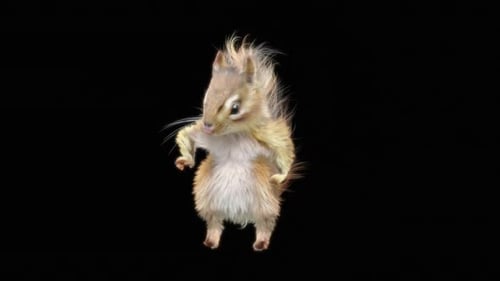 72 Chipmunk: Tanzen HD