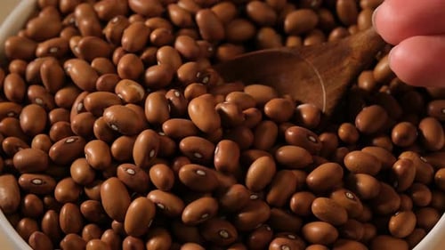 Close up of Pinto Beans with Wooden Spoon