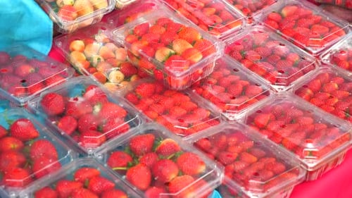 Organic Fresh Strawberries in Plastic Boxes are Sold at Farmers Market Counters