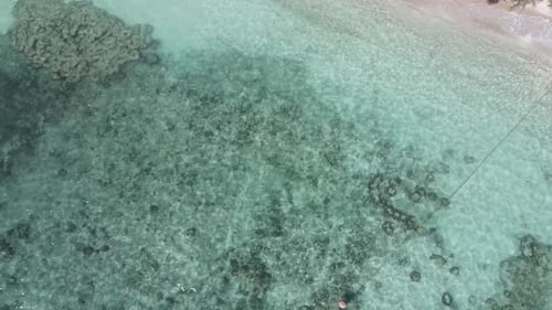 Beautiful Tropical Beach Aerial a Bird's Eye View of Ocean Waves Crashing Against an Empty Beach
