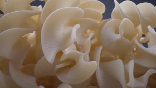 Close Up View of Raw Rotini Pasta