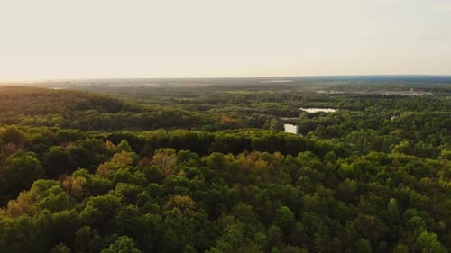 Aerial at Dawn Green Hills with Trees and Grass