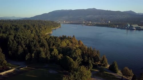 Flying Over The Green Coniferous Trees At Stanley Park With A Lions Gate Bridge In The Distance Over
