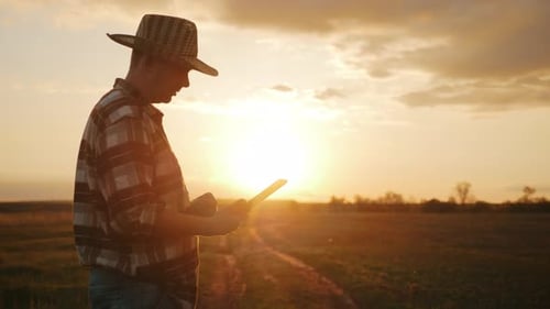 Farmer Using Tablet in Field at Sunrise
