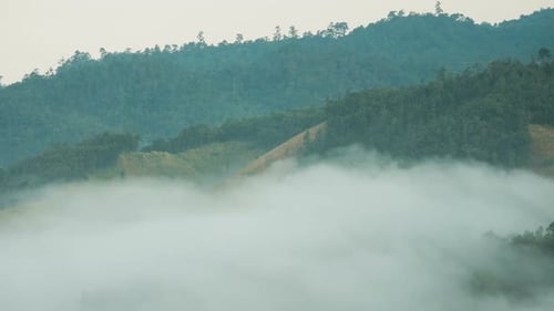 Fog Moving With Mountain
