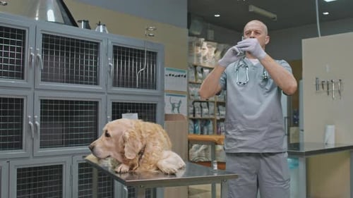 Veterinarian Giving Injection to Dog in Clinic