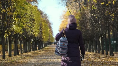 Back View of Woman Tourist Walking in Autumn Park