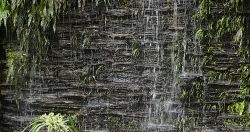 Small Waterfall Flowing Down Rocky Green Wall