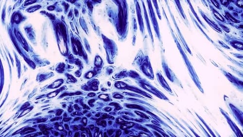 Mesmerizing Abstract Blue Fluid Organic Patterns Animation