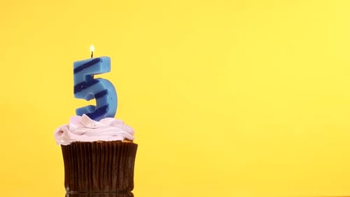 Cupcake with Number 5 Candle Burning Brightly