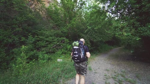 tourist with a backpack in shorts and a t-shirt is going along a path in the forest