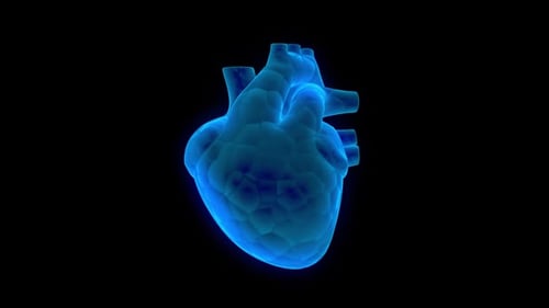 Bouclable Heart 360