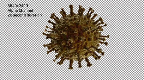 Coronavirus en un fondo transparente
