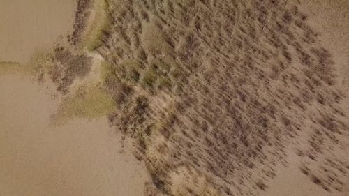 Textura del desierto