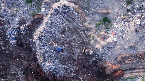 Flocks of Birds Circling Over the Garbage Dump