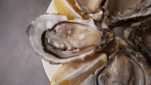 Fresh Oysters 14