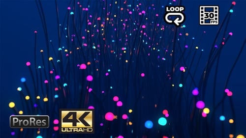 Glowing Plants - Fantasy VJ Loop - 4K