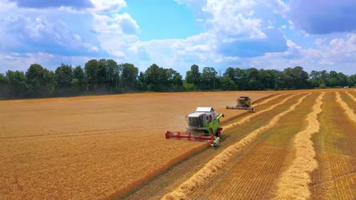 Harvesting Machine Working in the Field