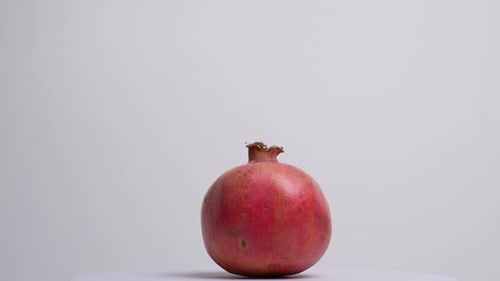 Granatapfel 06