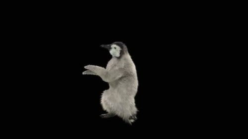 Penguin Dancing HD