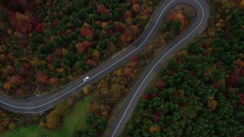 Aerial zoom out above hairpin turn in mountain road through beautiful fall foliage forest