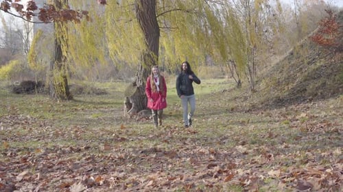 Fröhlicher Freund aus dem Nahen Osten und kaukasische Freundin schlendern zwischen Bäumen im Herbstwald