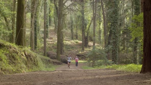 Man and Woman Running Uphill in Forest