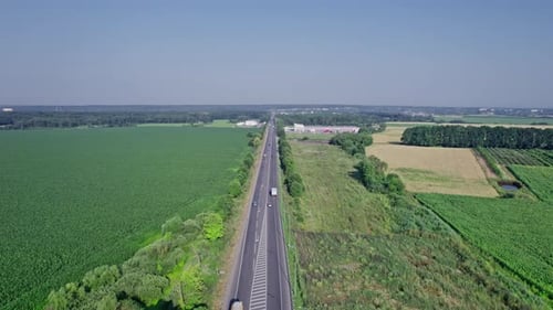 Auto fährt eine Asphaltstraße entlang und überquert den riesigen Wald