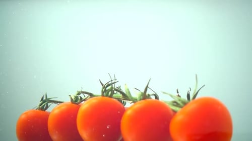 The Falling Cherry Tomatoes in Water 17