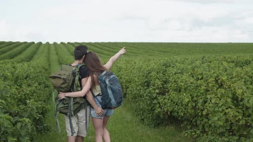 Happy Couple Walks with Rucksacks, Kisses and Watching on Currant Plantation.