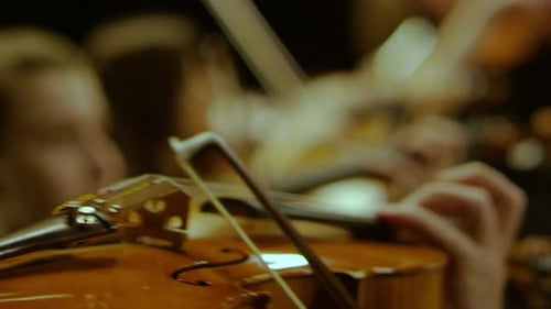 Playing the Violin Close-up