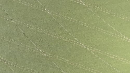 Drone flyover over bean plantation. Brazilian Agriculture