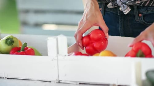 Closeup Female Worker Hands Putting Sweet Peppers at Wooden Box