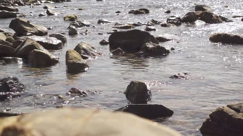 Viele Steine im Wasser im Meer