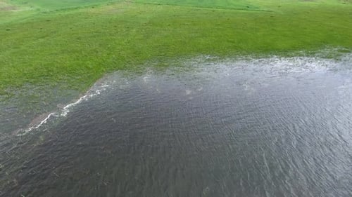 Hausse du niveau d'eau dans les champs de la plaine gauche