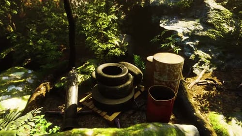 Garbage Dump in Tropical Forest