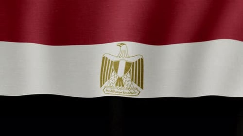 Waving Egyptian Flag Seamless Loop Animation
