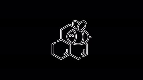 Minimalist Bee and Honeycomb Line Art Animation