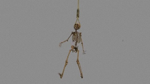 Animated Dancing Skeleton on Noose for Halloween