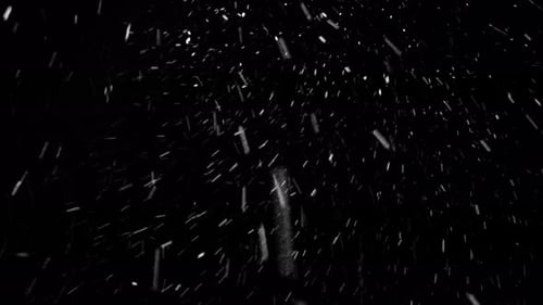 Natural Snow Particles. Black Background