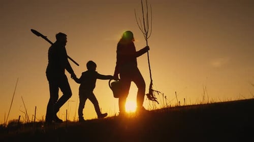 Silhouette Father with Two Children Go to Plant a Tree at Sunset