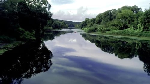 Flight Above Jungle River
