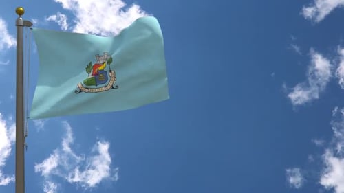 Realistic Flag Waving with Coat of Arms in Blue Sky