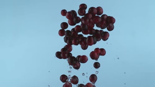 Fresh cranberries in slow motion, shot with Phantom Flex 4K at 1000 frames per second