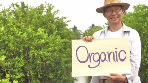 Happy senior farmer smiling and standing in organic farm.