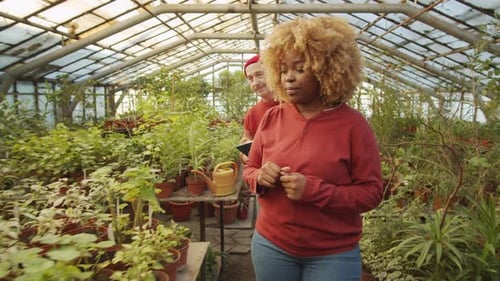 Man and Woman Discussing Plants in Greenhouse