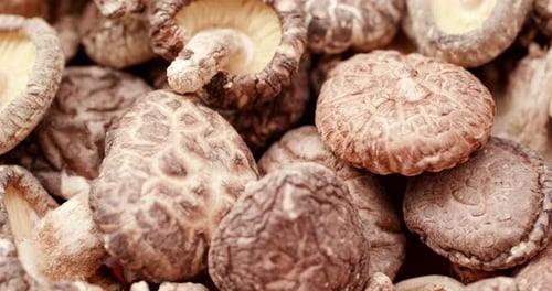 Fresh Shiitake Mushrooms in Detailed Close Up Shot