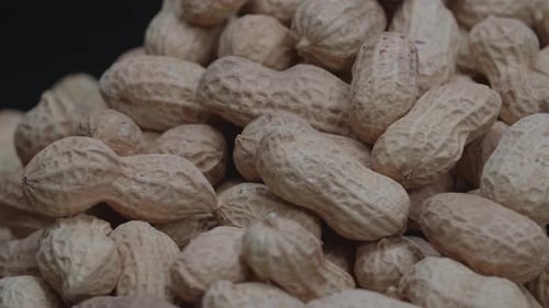 Pile of Peanuts in Shells Close Up